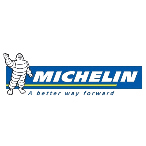 خرید تایر میشلن